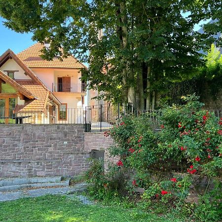 Casa Rural Roncesvalles Espinal-Auzperri Екстериор снимка