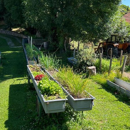 Casa Rural Roncesvalles Espinal-Auzperri Екстериор снимка