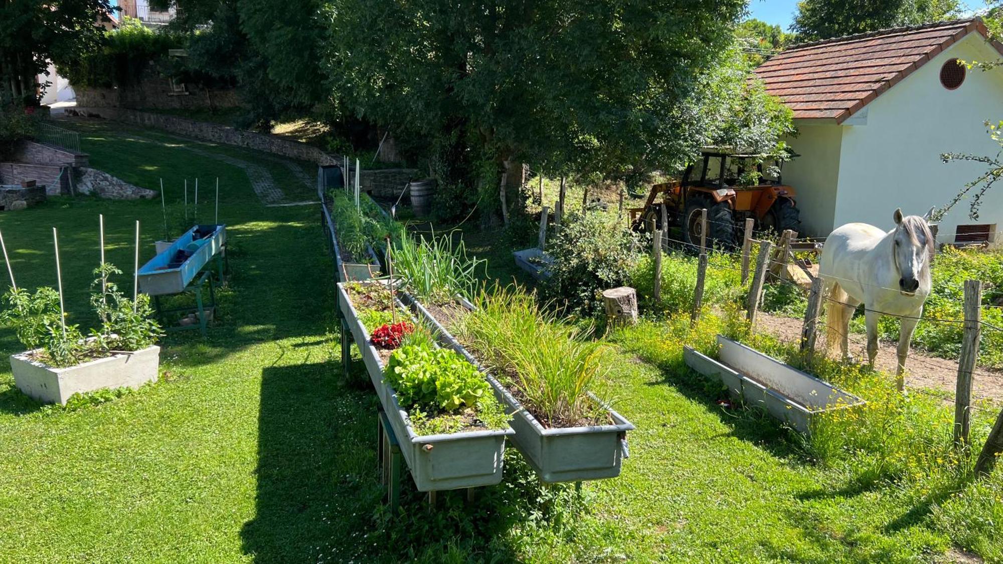 Casa Rural Roncesvalles Espinal-Auzperri Екстериор снимка